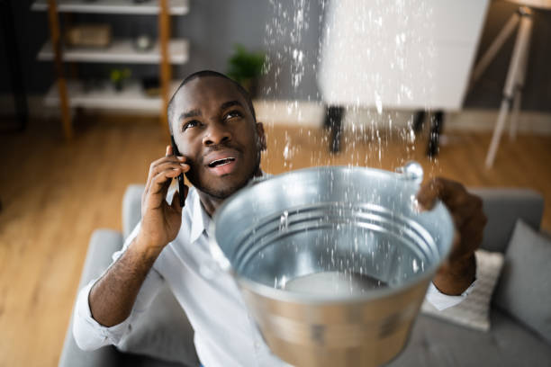 Best Carpet water damage restoration  in Owens Cross Roads, AL