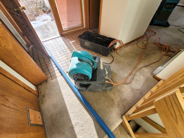 Best Sewage cleanup and water damage restoration  in Owens Cross Roads, AL