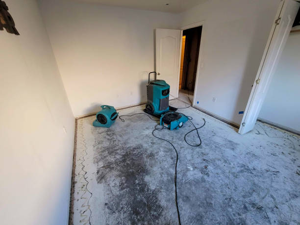Best Commercial water damage restoration  in Owens Cross Roads, AL