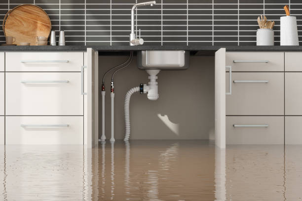 Best Flooded house restoration  in Owens Cross Roads, AL