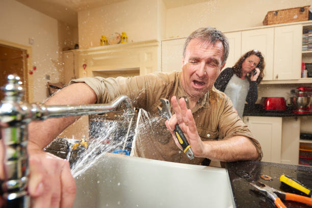 Owens Cross Roads, AL Water damage restoration Pros